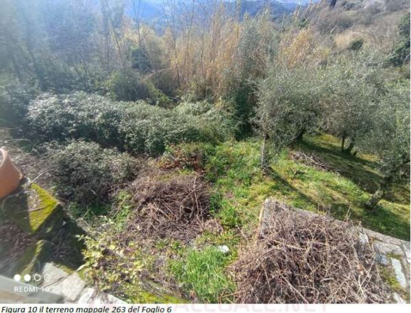 Appartamento via Prulla 38, Sarzana