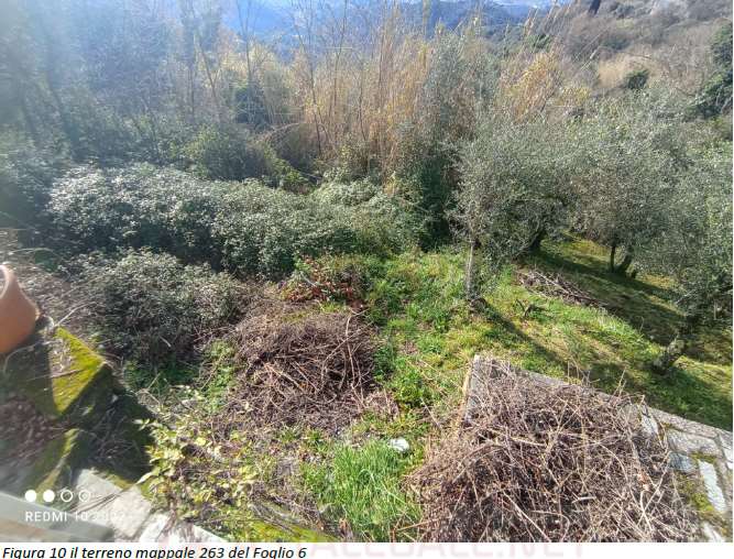 Immagine per Appartamento in asta a Sarzana via Prulla 38