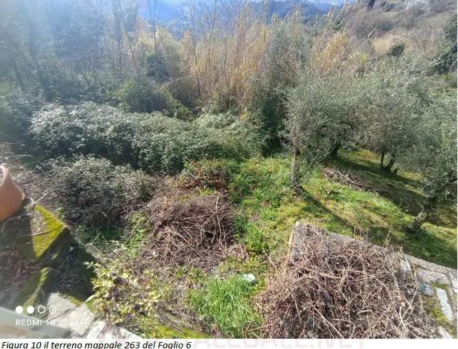 Immagine per Appartamento in asta a Sarzana via Prulla 38