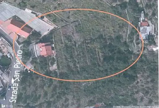 Immagine per Appartamento in asta a Sanremo strada Carrozzabile San Pietro 174