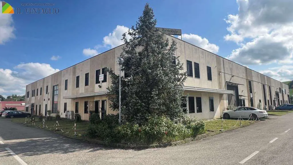 Immagine per Capannone in vendita a Casalgrande