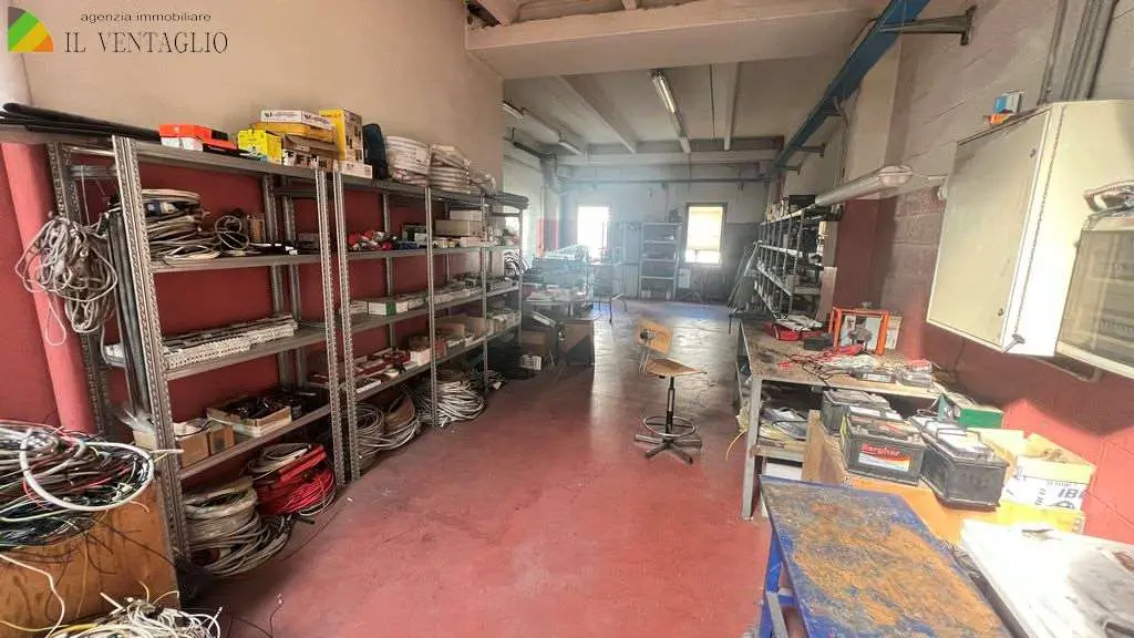 Immagine per Capannone in vendita a Casalgrande