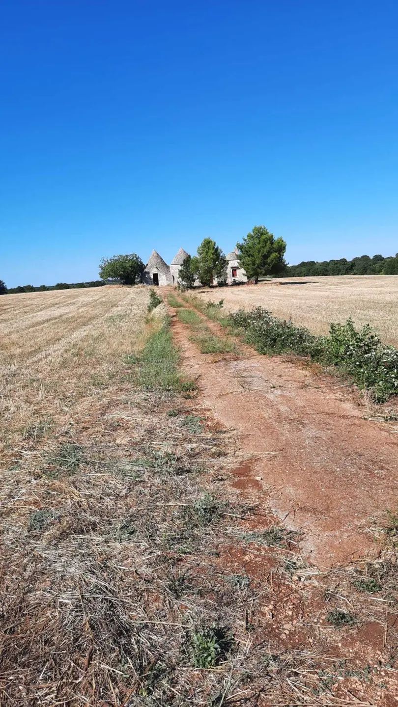 Immagine per Villa in vendita a Alberobello via Contrada Malvischi