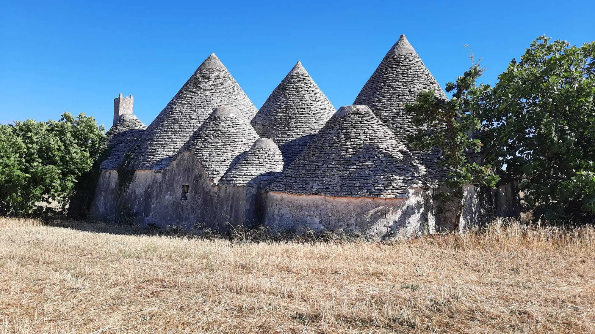 Immagine per Villa in vendita a Alberobello via Contrada Malvischi