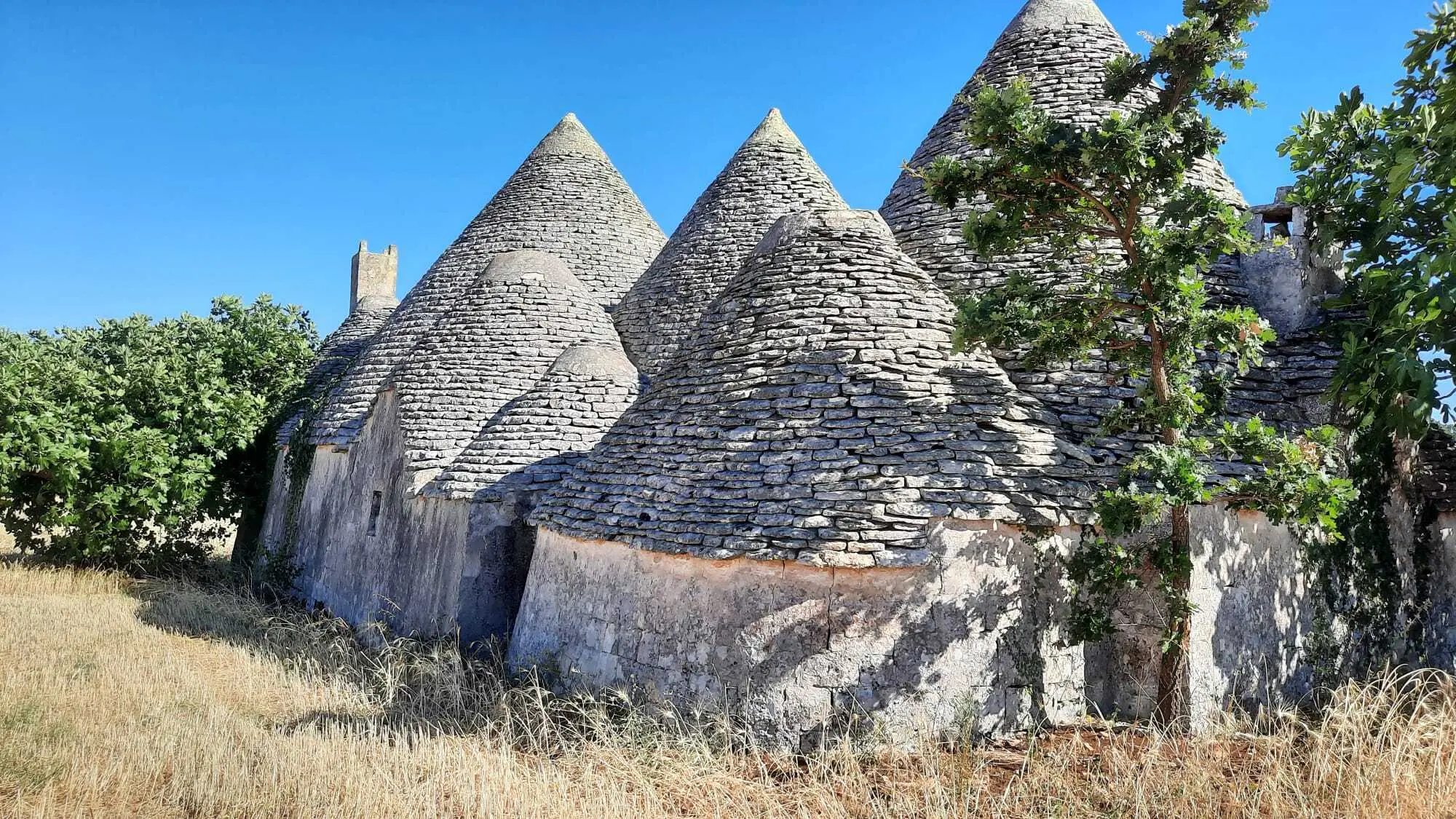 Immagine per Villa in vendita a Alberobello via Contrada Malvischi