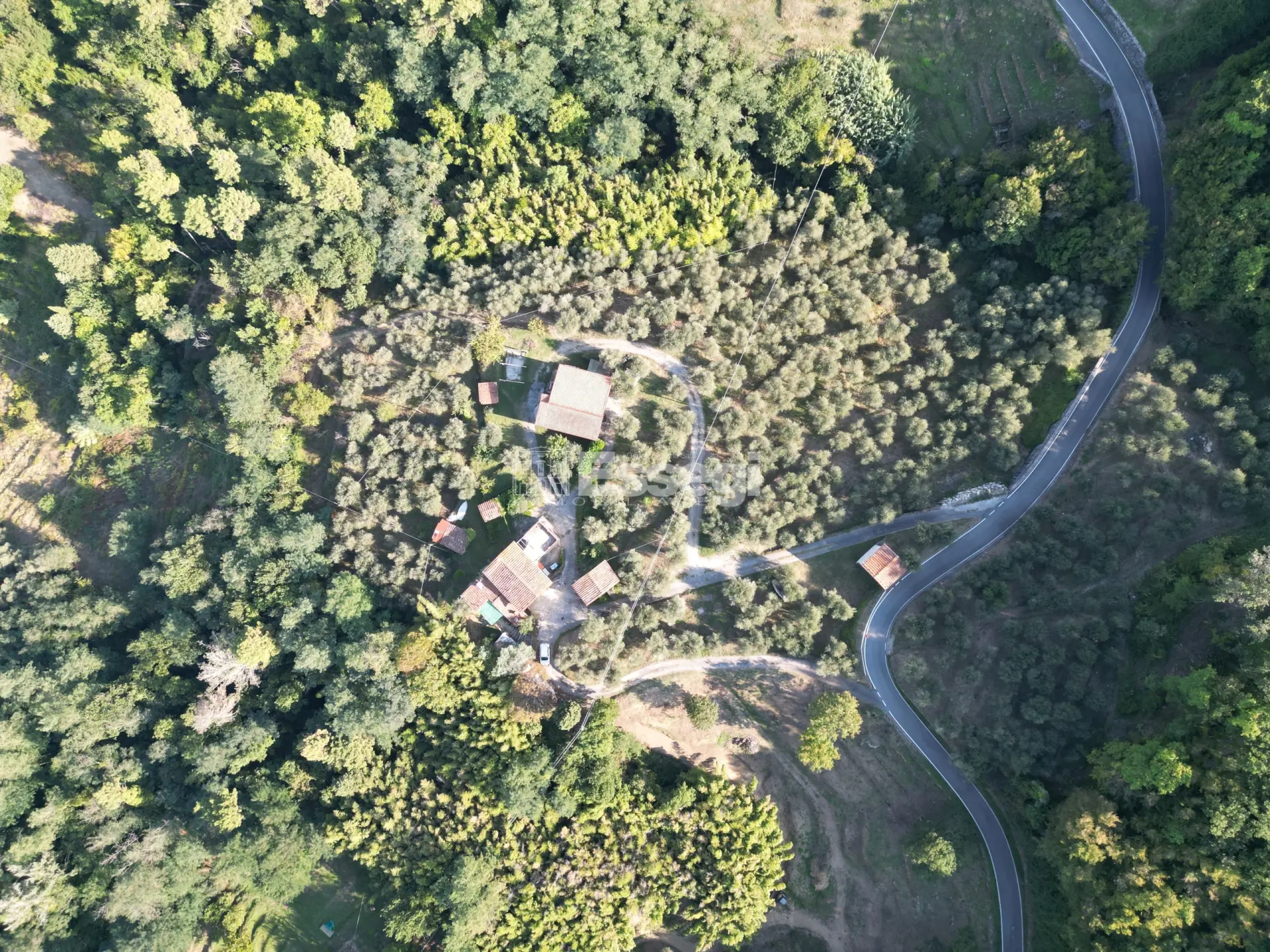 Immagine per Casale in vendita a Lucca via Di Bolognana 601