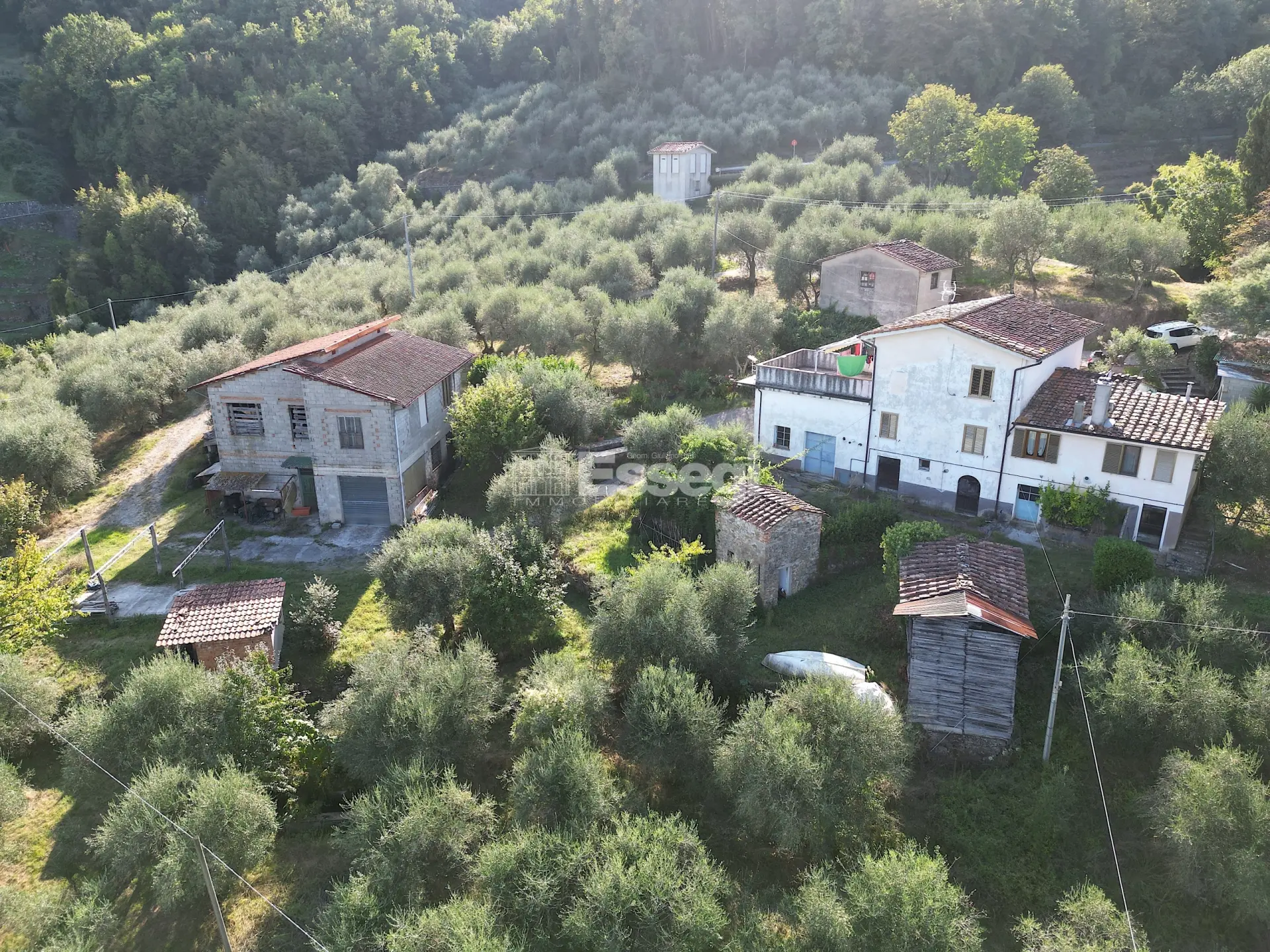 Immagine per Casale in vendita a Lucca via Di Bolognana 601