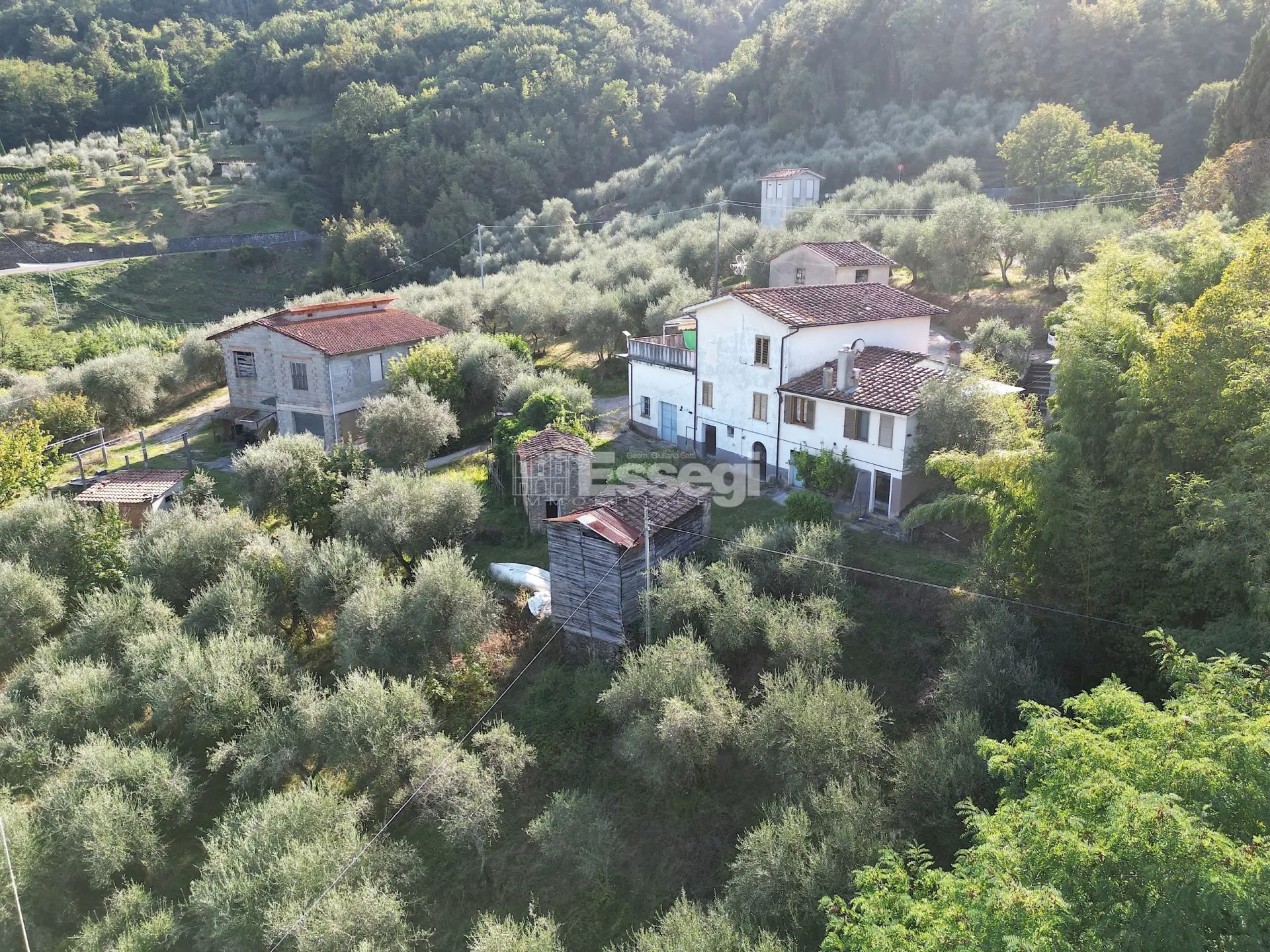 Immagine per Casale in vendita a Lucca via Di Bolognana 601