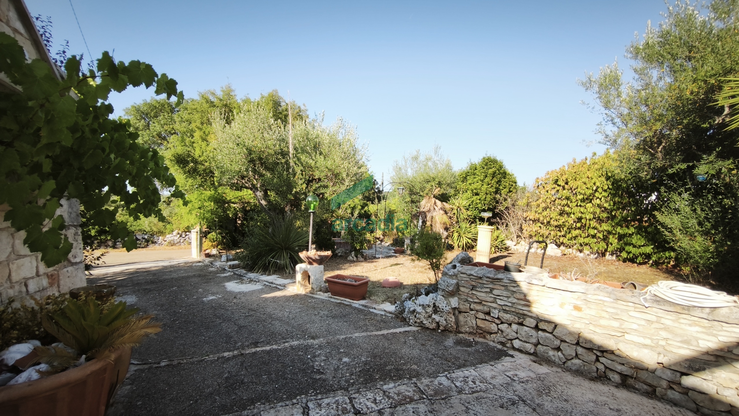 Immagine per Casale in vendita a Monopoli via Contrada Terranova
