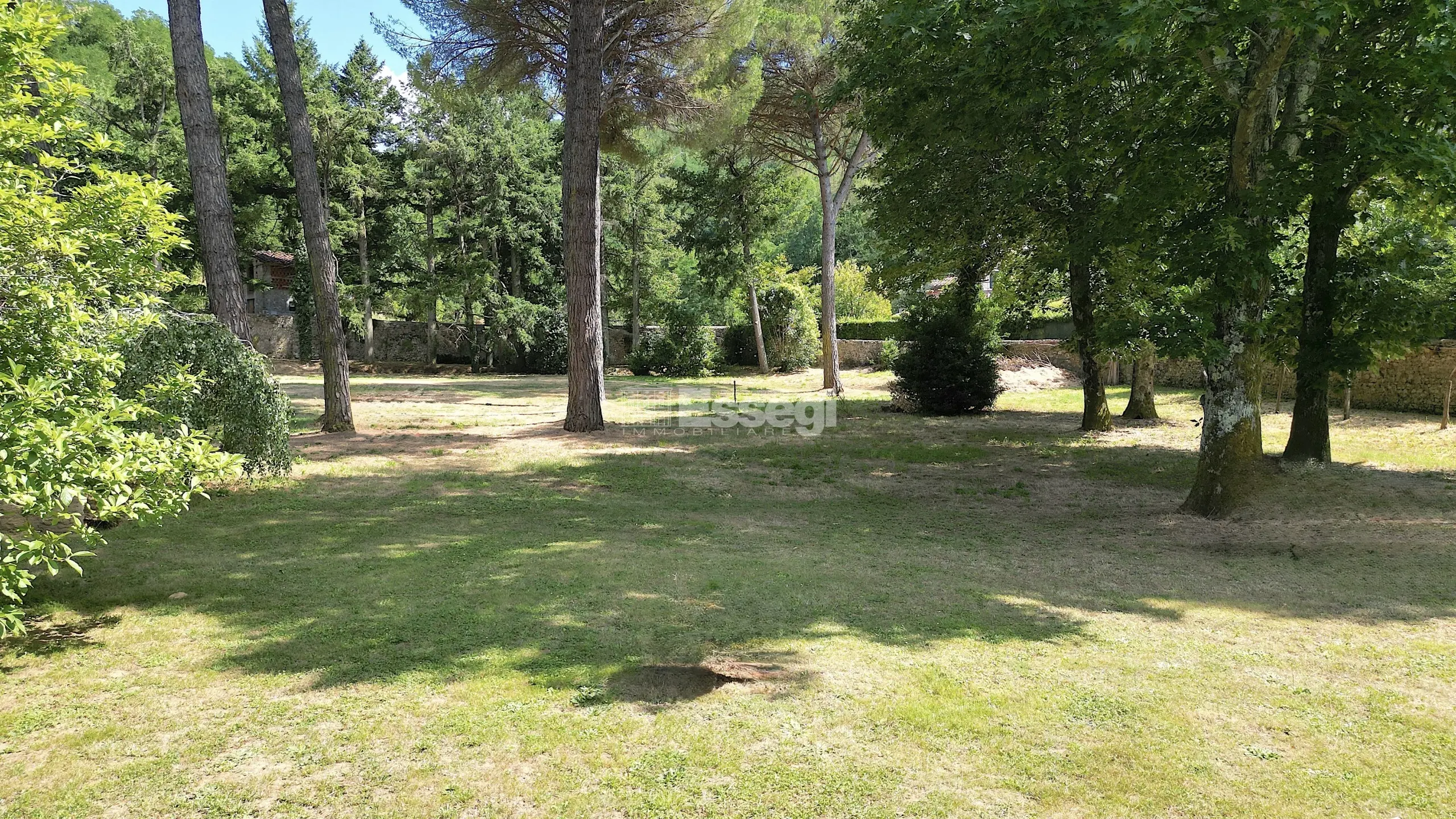 Immagine per Villa in vendita a Lucca via Pisana 3225