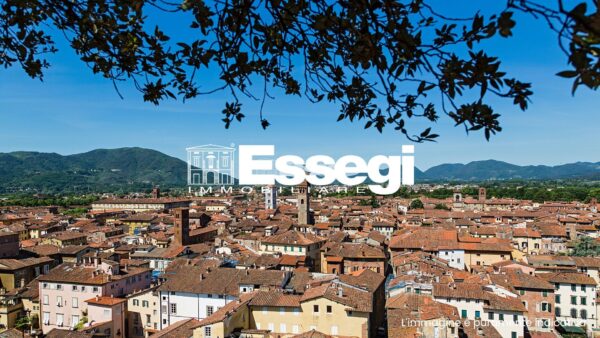 Immagine per Monolocale in vendita a Lucca piazza San Michele