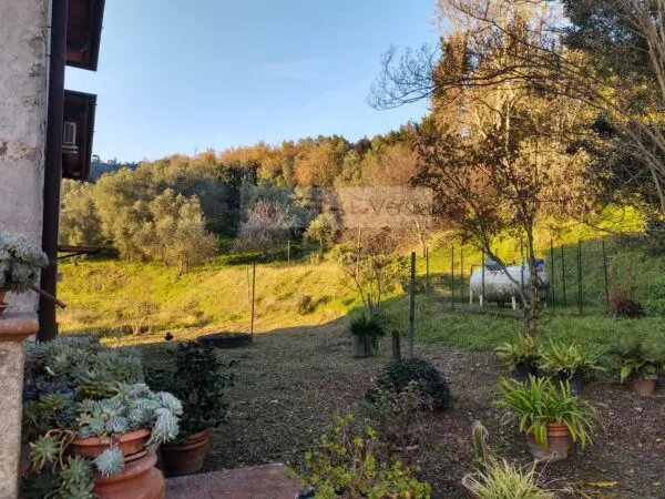 Rustico/Casale via, Massarosa