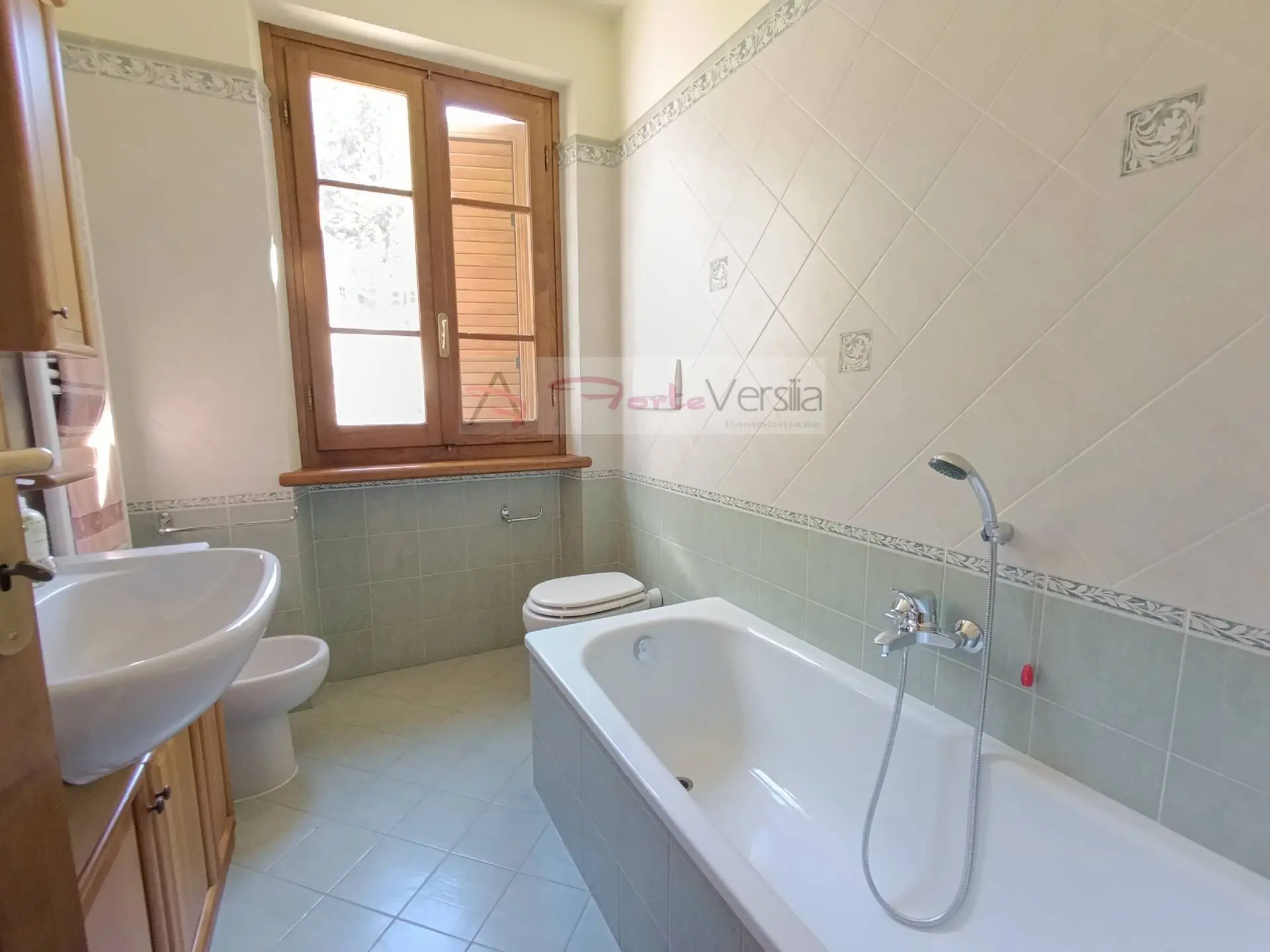 Immagine per Villa in vendita a Pietrasanta