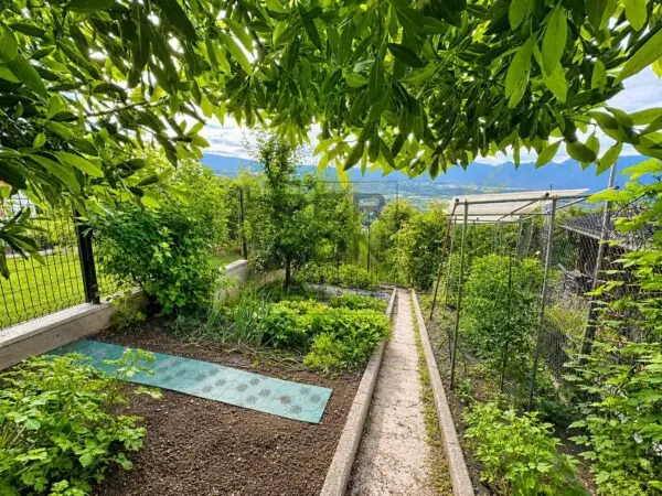 Casa Semindipendente via Rallo, Ville D'Anaunia