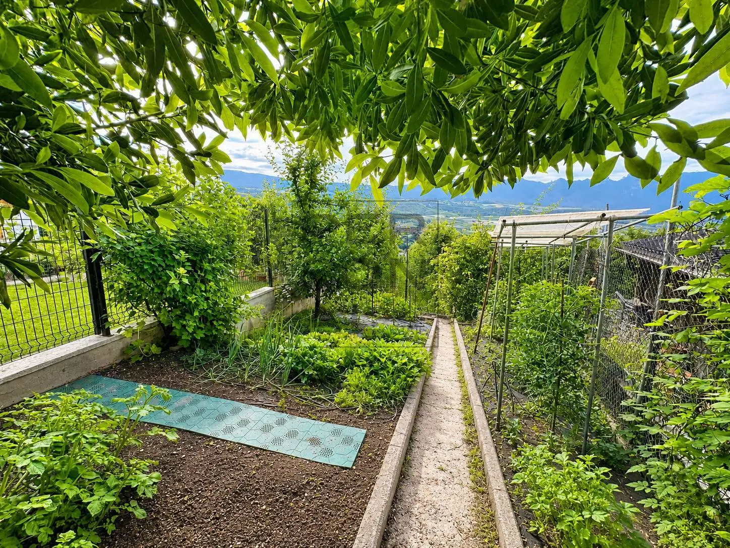Immagine per Casa Semindipendente in vendita a Ville d'Anaunia Rallo 