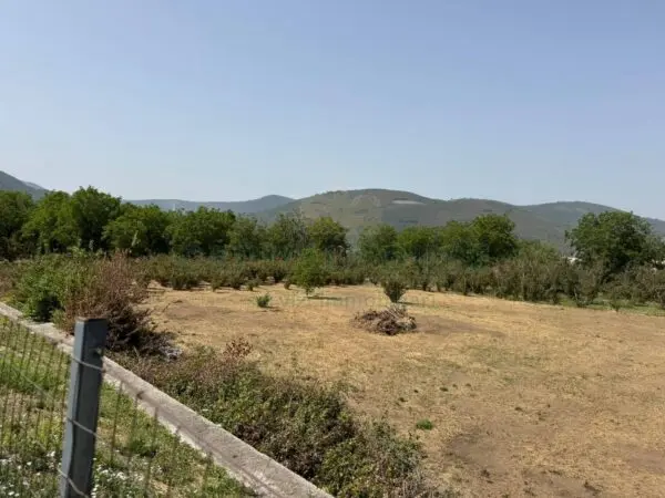 Terreno Agricolo via Mugnano Del Cardinale, Mugnano Del Cardinale