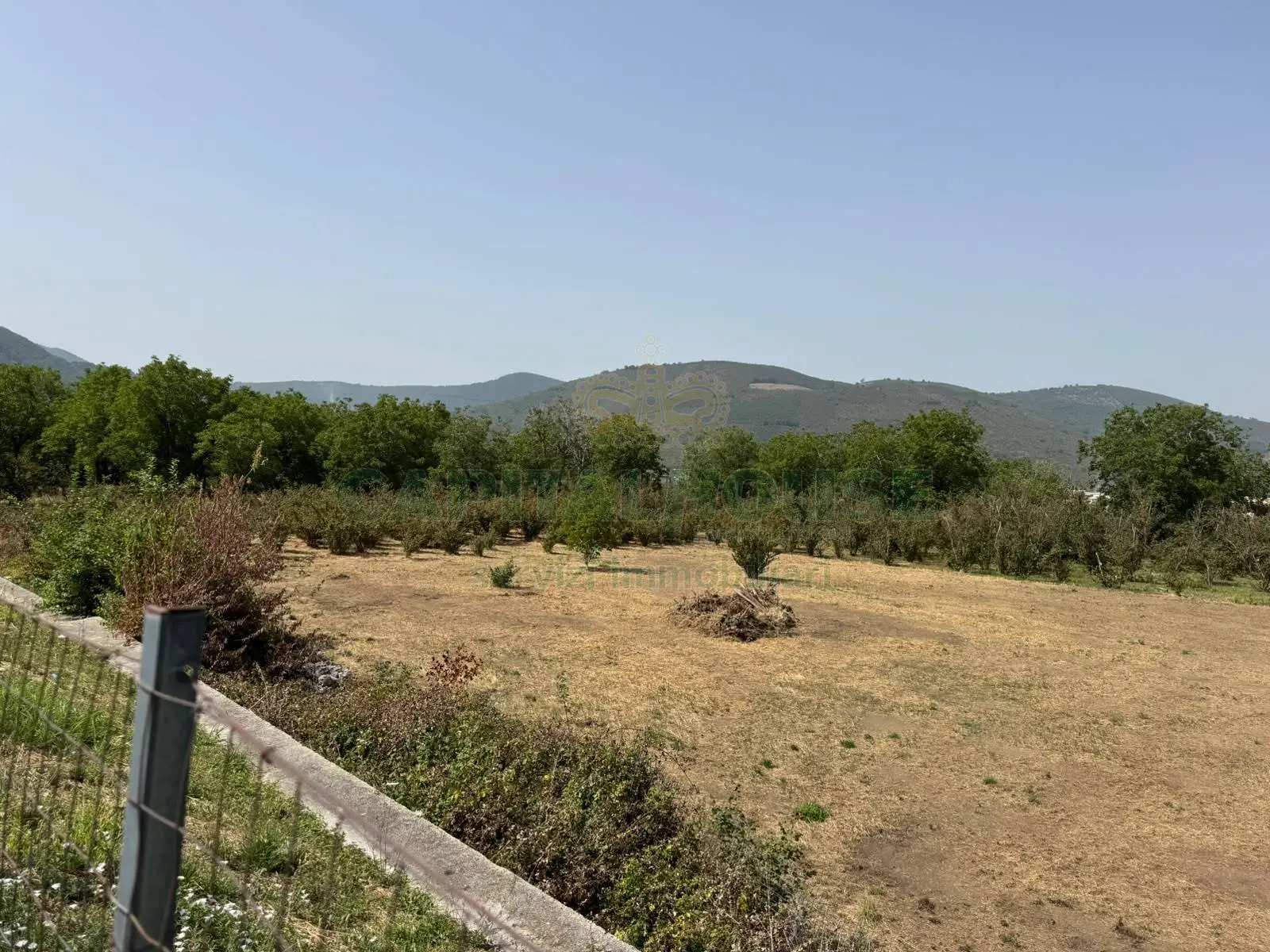 Immagine per Terreno Agricolo in vendita a Mugnano del Cardinale mugnano del cardinale