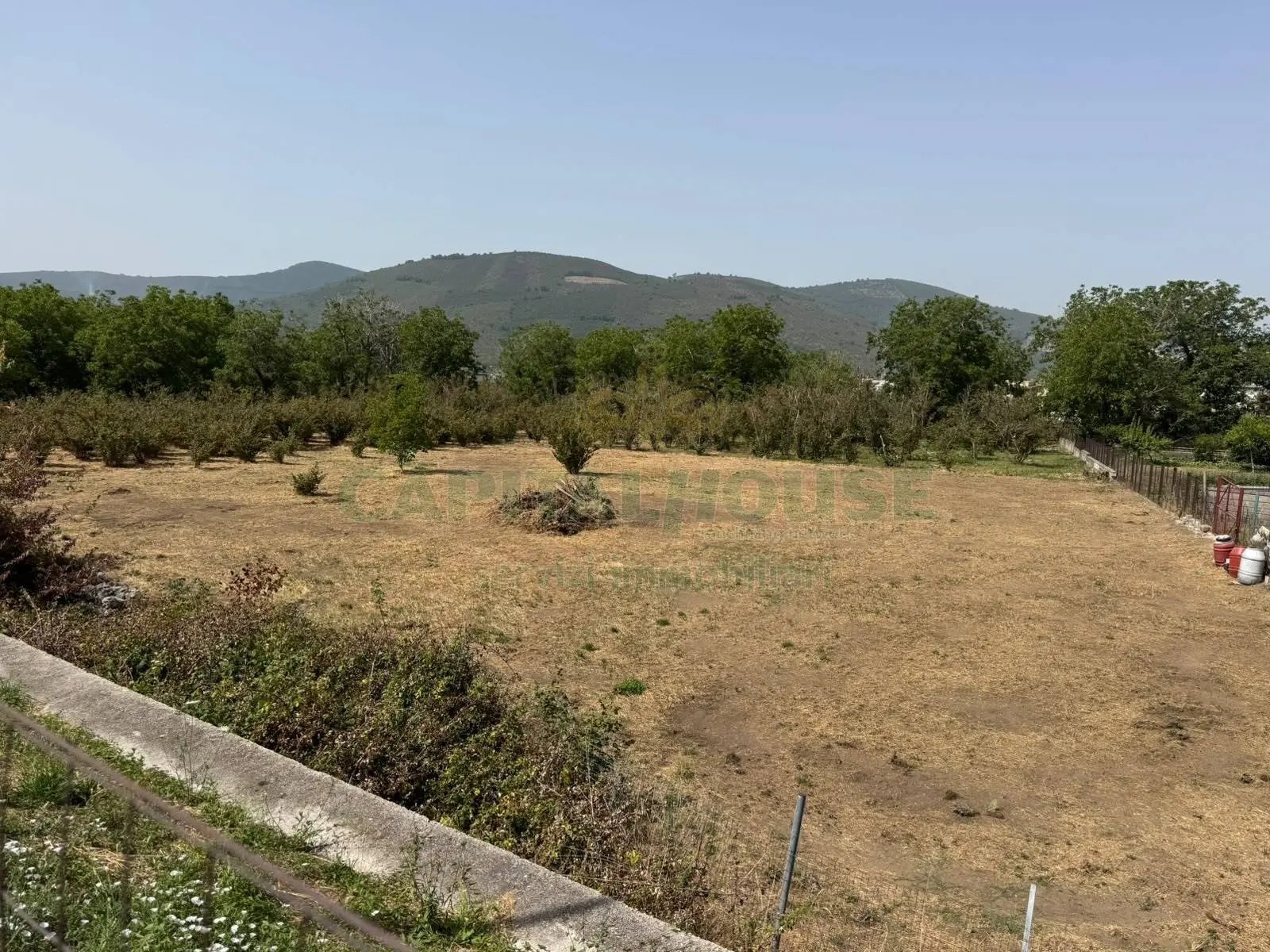 Immagine per Terreno Agricolo in vendita a Mugnano del Cardinale mugnano del cardinale