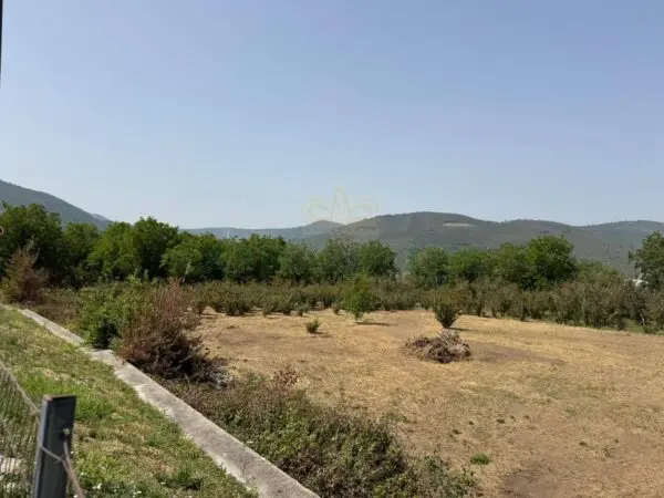 Terreno Agricolo via Mugnano Del Cardinale, Mugnano Del Cardinale