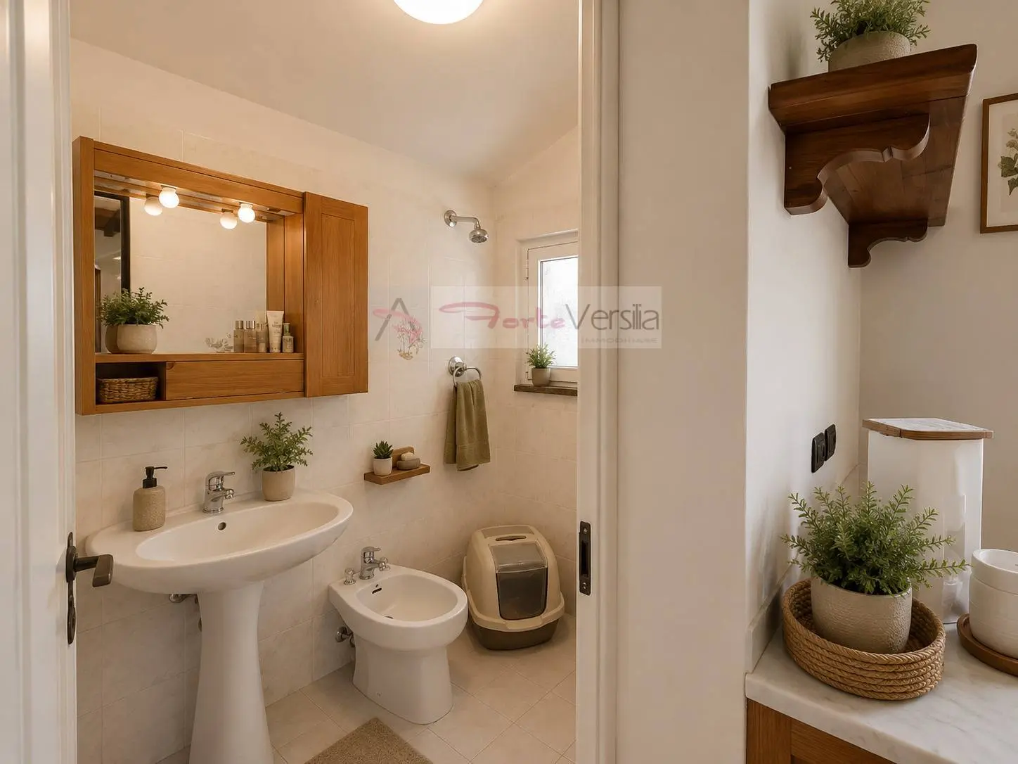Immagine per Villa in vendita a Pietrasanta