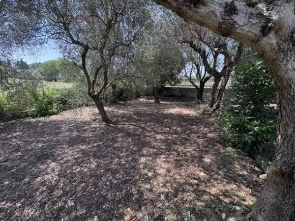 Casa Indipendente via Saffi, Misano Adriatico