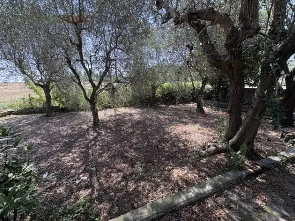 Casa Indipendente via Saffi, Misano Adriatico