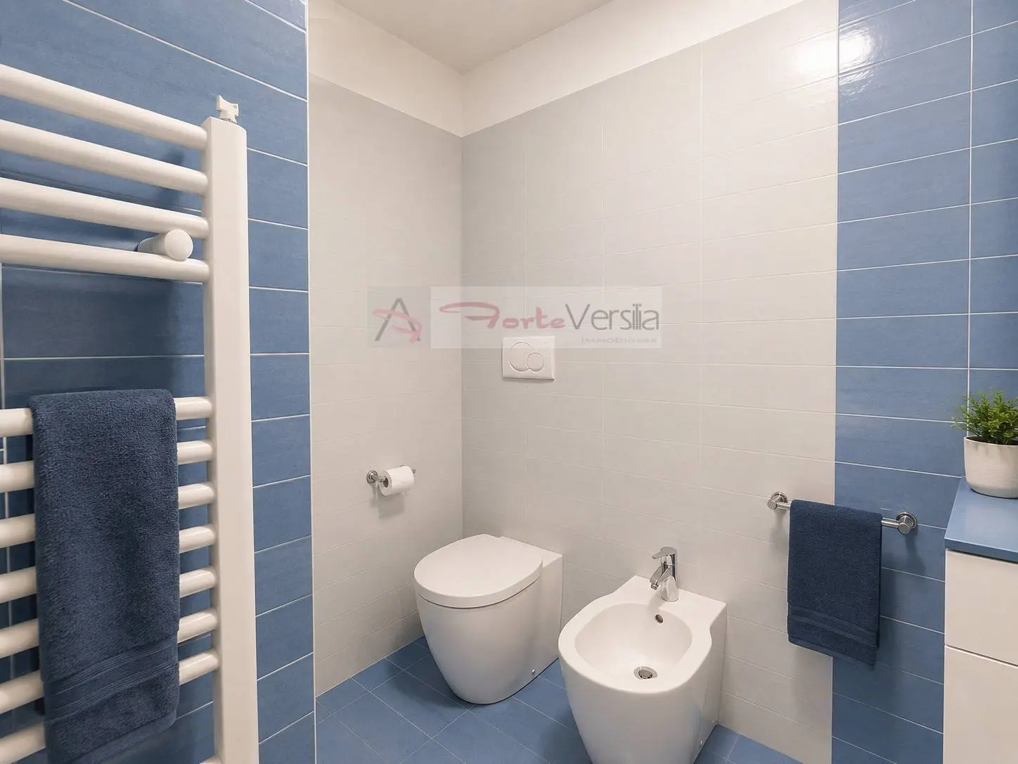 Immagine per Villetta a schiera in vendita a Massa