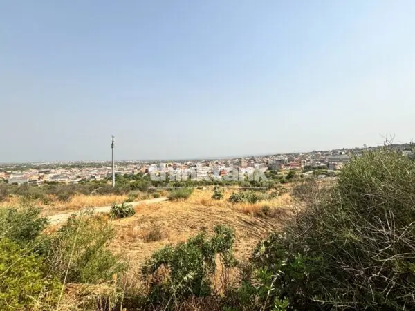 Terreno Agricolo via Contrada Soliardo, Priolo Gargallo