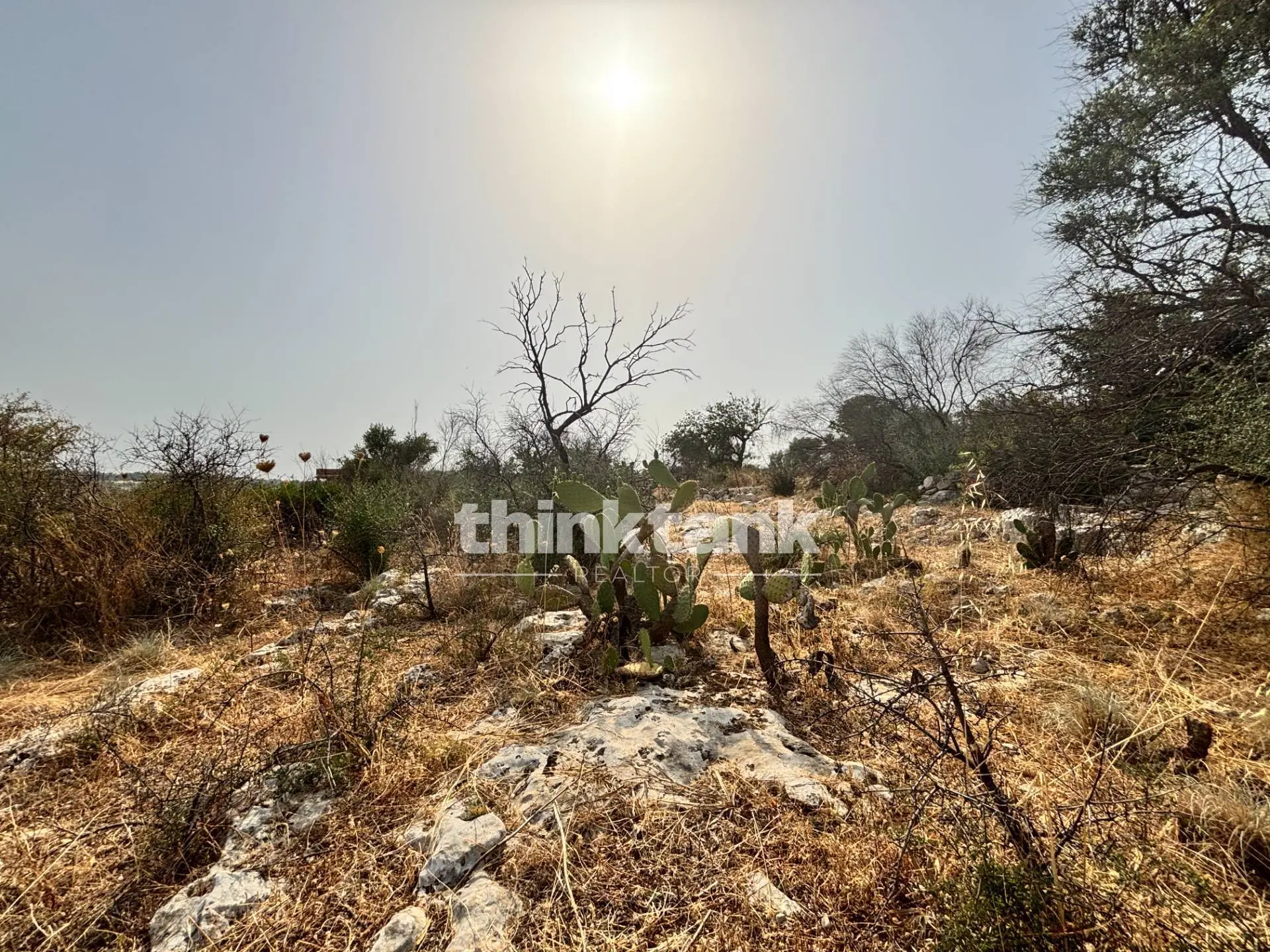 Immagine per Terreno Agricolo in vendita a Priolo Gargallo Contrada Soliardo 