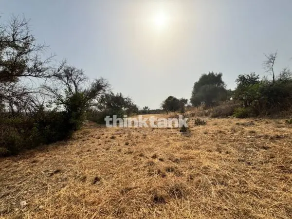 Terreno Agricolo via Contrada Soliardo, Priolo Gargallo