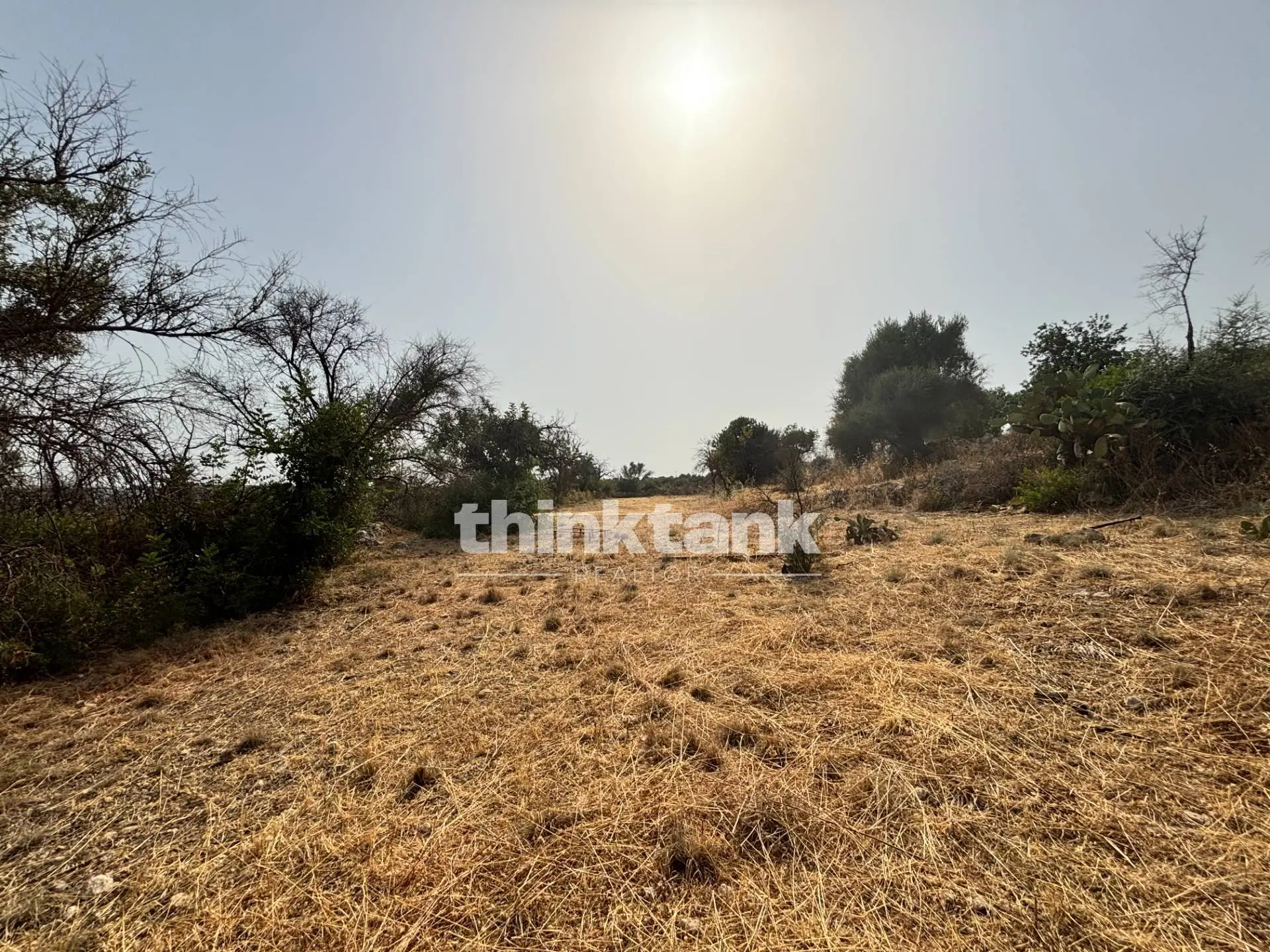 Immagine per Terreno Agricolo in vendita a Priolo Gargallo Contrada Soliardo 