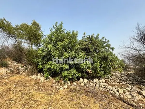 Terreno Agricolo via Contrada Soliardo, Priolo Gargallo