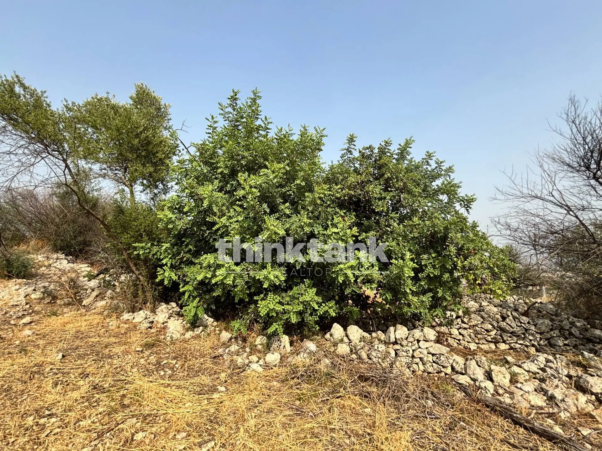 Immagine per Terreno Agricolo in vendita a Priolo Gargallo Contrada Soliardo 