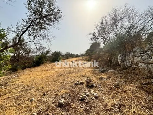 Terreno Agricolo via Contrada Soliardo, Priolo Gargallo