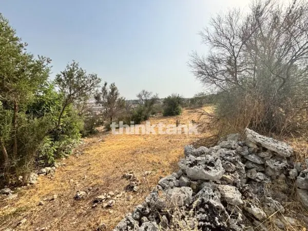Terreno Agricolo via Contrada Soliardo, Priolo Gargallo