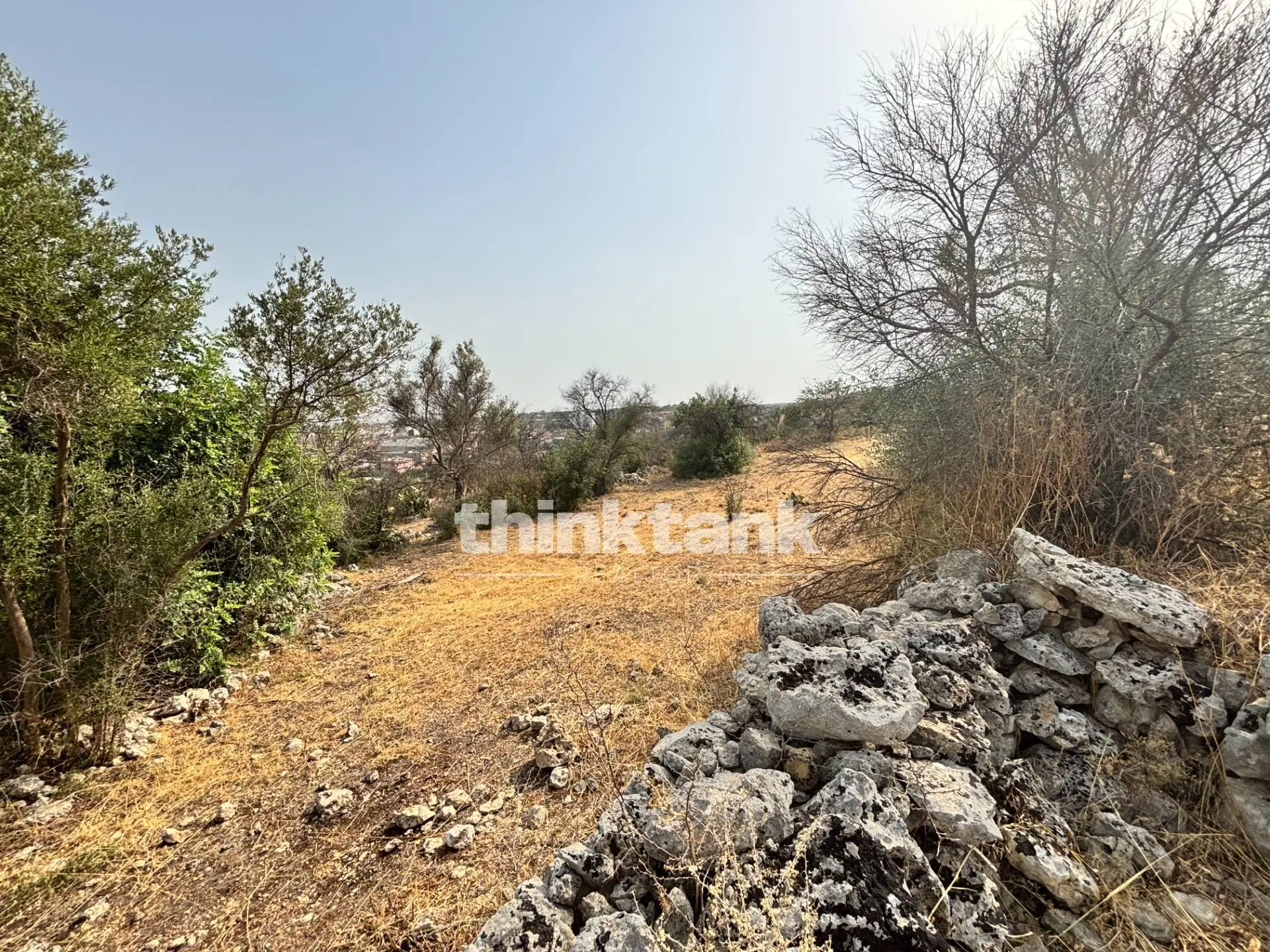 Immagine per Terreno Agricolo in vendita a Priolo Gargallo Contrada Soliardo 
