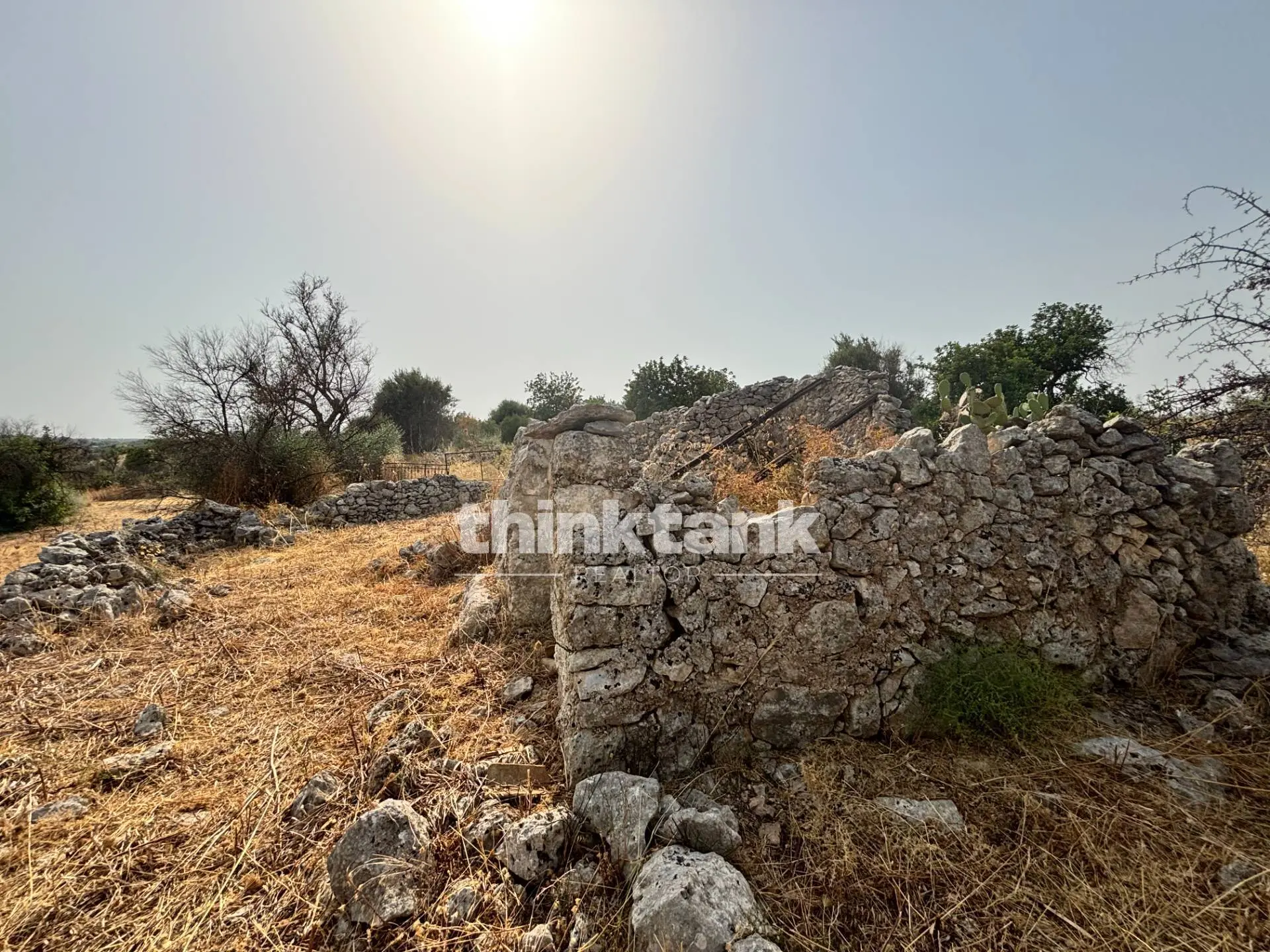Immagine per Terreno Agricolo in vendita a Priolo Gargallo Contrada Soliardo 