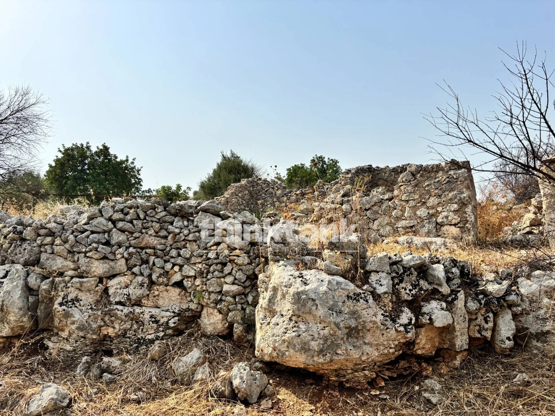 Immagine per Terreno Agricolo in vendita a Priolo Gargallo Contrada Soliardo 