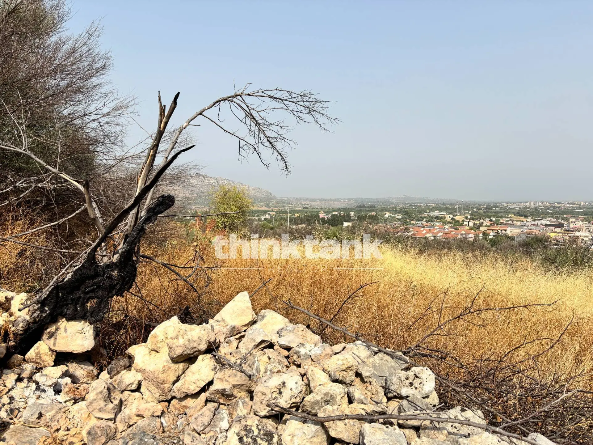 Immagine per Terreno Agricolo in vendita a Priolo Gargallo Contrada Soliardo 