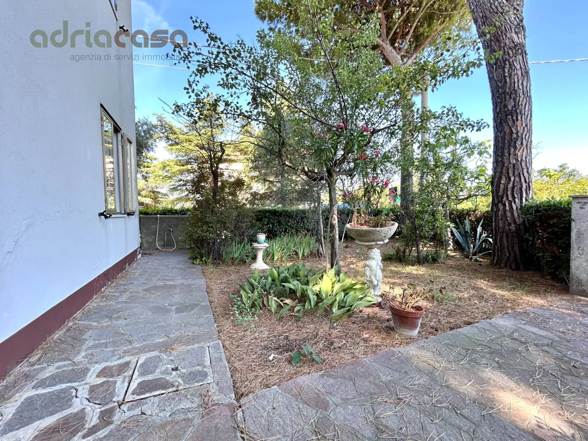 Immagine per Appartamento in vendita a Riccione Viale Abruzzi 