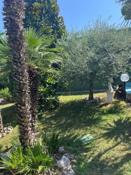 Appartamento viale Trebaci, Riccione