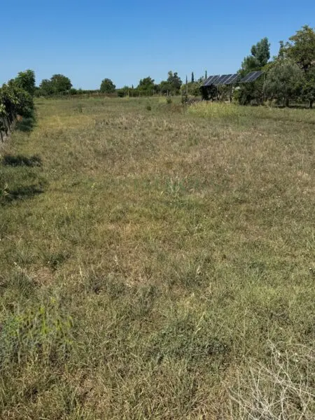 Terreno Agricolo strada Provinciale, Brusciano