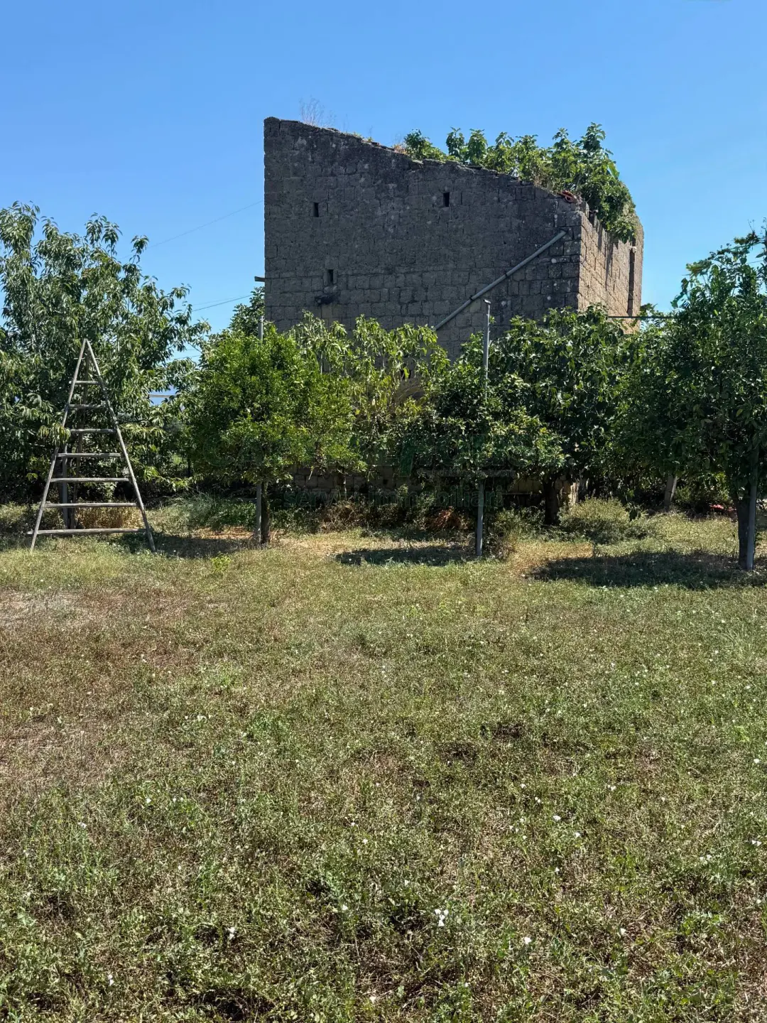 Immagine per Terreno Agricolo in vendita a Brusciano Traversa Strada Provinciale 