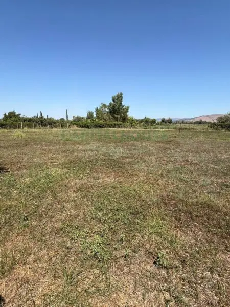 Terreno Agricolo strada Provinciale, Brusciano
