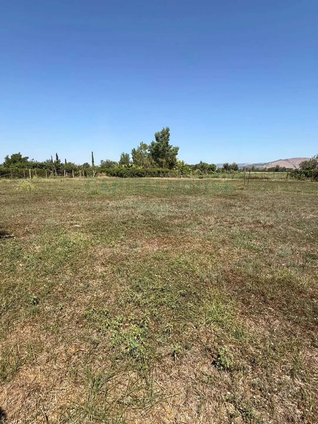 Immagine per Terreno Agricolo in vendita a Brusciano Traversa Strada Provinciale 