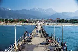 Immagine per Villa in vendita a Forte dei Marmi