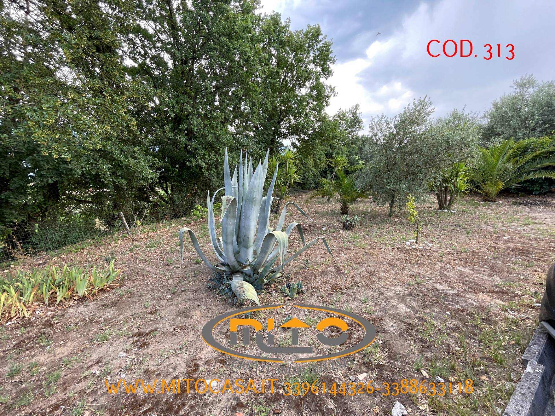 Immagine per Appartamento in vendita a Telese Terme TELESE PARCO VALENTINA 