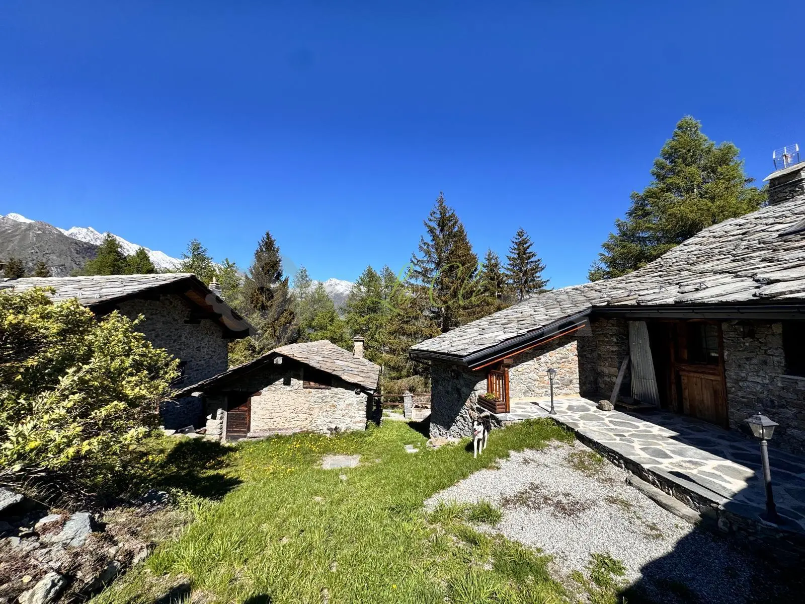 Immagine per Chalet - Baita in vendita a Morgex via Frazione Pres-rionds 3