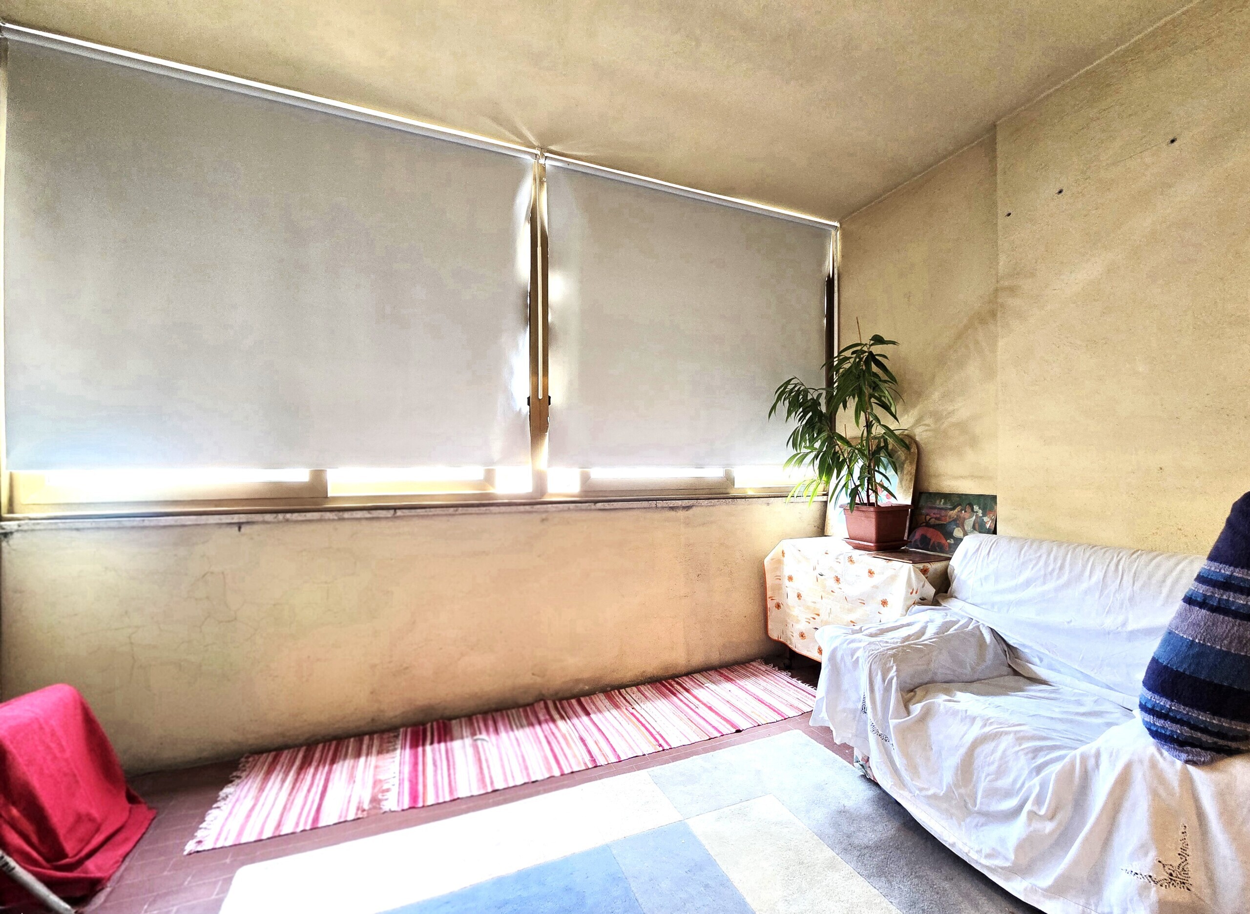 Immagine per Stanza in affitto a Roma viale Lina Cavalieri 103