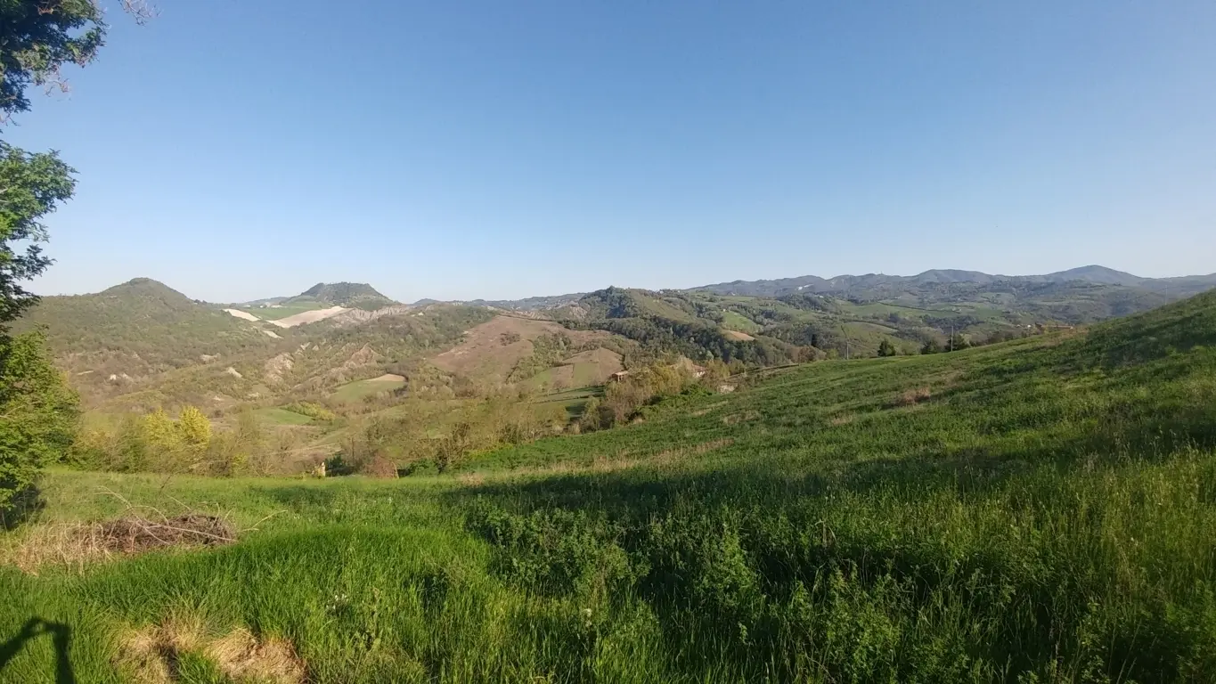 Immagine per Rustico in vendita a Monte San Pietro via Castello 45